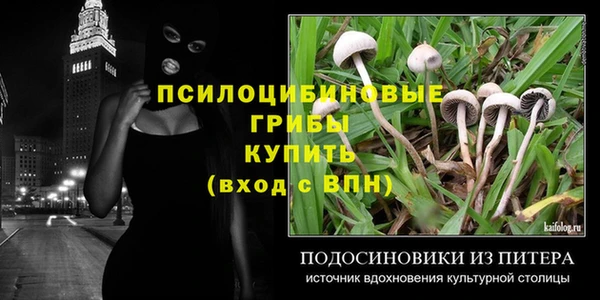 синтетический гашиш Богородск
