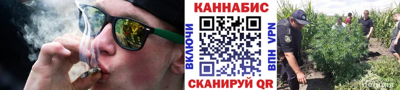 Бошки марихуана VHQ omg tor Шимановск купить наркотики цена